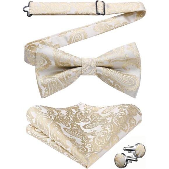 Bow Ties for Men Pretied Bow Tie Set Paisley Classic Bowties and Pocket Square - Picture 1 of 7